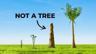 Thumbnail: The Weird Evolution of Trees