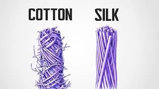 Thumbnail: The Crazy Engineering of Silk