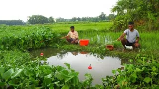 Thumbnail: Fishing Video || I was amazed to see this boys cleaning the canal and catching fish | Best hook trap