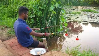 Thumbnail: Fishing Video || Skilled boy caught fish in his pond by applying best and most effective technique