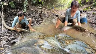 Thumbnail: Full video of Ana's 6 Hour of fishing in the wild lake. Caught many big fish - Use Pump water