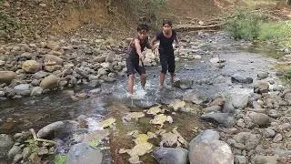 Thumbnail: Survival skills: Catch frog in river for survival food, Spicy frog cooking for eating delicious