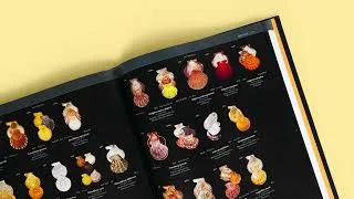 Thumbnail: Seashells: A Compendium of Five Thousand of the World's Species
