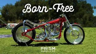 Thumbnail: Born Free 17