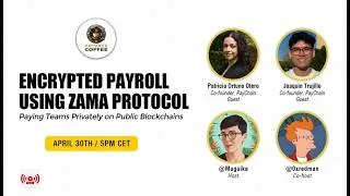 Thumbnail: Encrypted Payroll Using @zama_fhe  Protocol