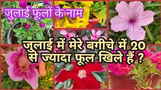 Thumbnail: जुलाई में खिलने वाले फूलों के नाम July Flower Blooming in Garden 🏡 July Flower Plant Name For Summer