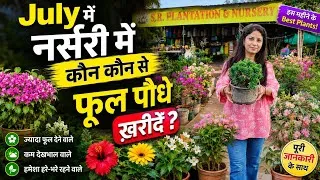 Thumbnail: July में नर्सरी से क्या ख़रीदें July Plant Nursery Visit Chandigarh  / Roadside Plant Nursery Visit 