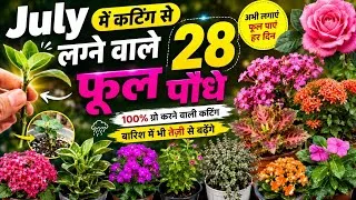 Thumbnail: July में कटिंग से लगने वाले 28 फूलों के पौधे | बारिश में Fast Growing Flower Plants | 100% Success
