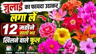Thumbnail: जुलाई में लगा लें सालों भर बारहों महीने खिलने वाले फूलों के नाम Permanent Flower Plant Grow in July 