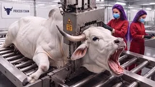 Thumbnail: Inside the World’s Most Advanced Bull Horn Factory | How  Horns Are Transformed into Luxury Products