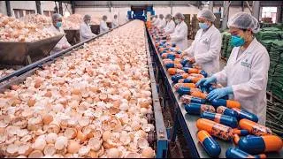 Thumbnail: Eggshell Waste Is Turned into Calcium Supplements & Organic Fertilizer | Don't Throw Away Eggshells!