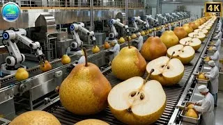 Thumbnail: Inside a Modern Pear Drying Facility: From Fresh Pears to Chewy Dried Pear Slices (Full Process)
