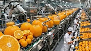 Thumbnail: Inside a Modern Orange Juice Factory: From Fresh Oranges to Bottled Juice (Full Process)
