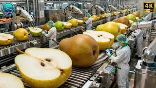 Thumbnail: Inside a Modern Pear Processing Plant: From Fresh Pears to Crystal-Clear Pear Juice (Full Process)