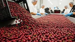 Thumbnail: How Millions of Cherries Are Processed in the Factory