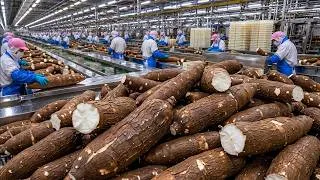 Thumbnail: Inside the Cassava Processing Factory | How Toxic Cassava Roots Become Chewy Tapioca Pearls
