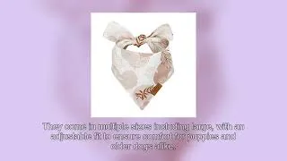 Thumbnail: Remy+Roo Dog Bandanas Review: Stylish & Durable 4-Pack for Your Pup!