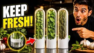 Thumbnail: Fresh Herb Keeper Review | Keep Herbs Fresh Longer in Your Fridge