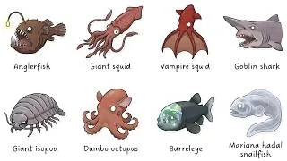 Thumbnail: Every Creature Hiding at the BOTTOM of the Ocean Explained