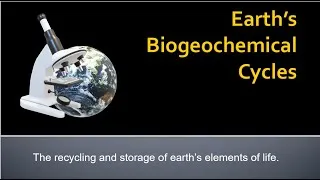 Thumbnail: Biogeochemical cycles