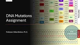 Thumbnail: DNA mutation assignment (Biology)