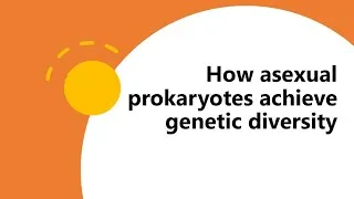 Thumbnail: How asexual prokaryotes achieve genetic diversity lecture