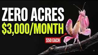 Thumbnail: 21 Animals That Pay $3,000/Month — No Land, No Barn, No Experience