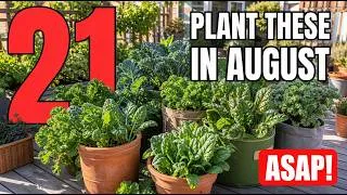 Thumbnail: 21 Container Vegetables You Should Plant in August ASAP