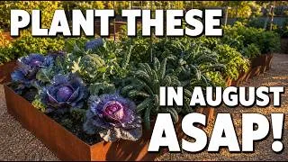 Thumbnail: 21 Vegetables You Should Plant in August ASAP