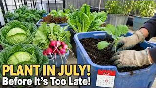 Thumbnail: 21 Container Vegetables You Can Still Plant in July (Before It's Too Late)