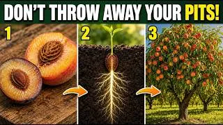 Thumbnail: Grow Peach, Plum, Cherry, Apricot & Almond Trees in Just 3 Steps