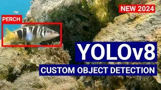 Thumbnail: Train a YoloV8 model on Custom Dataset of Images