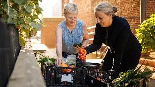 Thumbnail: ProHealth cares | Making healthy food more accessible