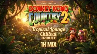 Thumbnail: Donkey Kong Country 2 Tropical Chillout Mix 🌴 | 1 Hour Relaxing Retro Music
