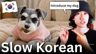 Thumbnail: Talking About My Dog's Feelings in Slow Korean