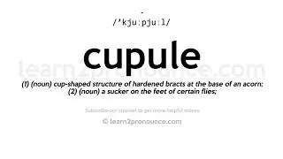 Thumbnail: How to pronounce Cupule | English pronunciation