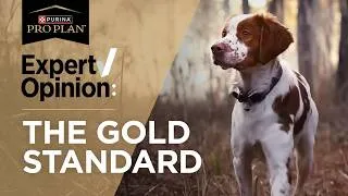 Thumbnail: Performance Hunting Dog Food Trusted by Pros and Proven by Champions