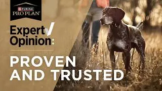 Thumbnail: Hunting Dog Food for Peak Performance in the Field or On the Water