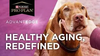 Thumbnail: Pro Plan AdvantEDGE Senior Support+ Dog Food