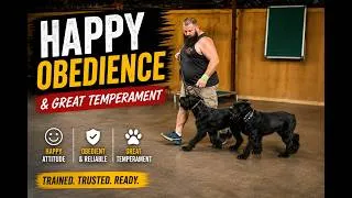 Thumbnail: 🐾 8-Mo Giant Schnauzer "Jax" | Social Skills, Basic Obedience & the Road to Off-Leash Control at PDS
