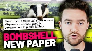 Thumbnail: Could this finally be the end of the Badger cull?!