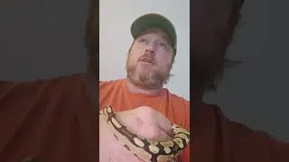 Thumbnail: My Pet Reptiles