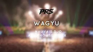 Thumbnail: MAUVAIS DJO - WAGYU (PRS Afro House Remix)