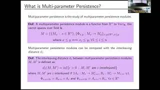 Thumbnail: Mathieu Carrière: Multi-Parameter Topological Data Analysis with MMA