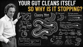 Thumbnail: The Cleaning Wave YOUR Gut Runs Only When You Stop Eating