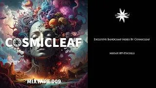 Thumbnail: Cosmicleaf Mixtape 009 (Psychill)