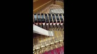Thumbnail: Video 2   Leaking Tri Chord Wedge