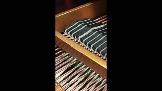 Thumbnail: Video 1   Loose Damper Leads - 6/21