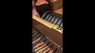 Thumbnail: Video 3   Damper Underlevers Hitting the Sostenuto Rod - 6/21