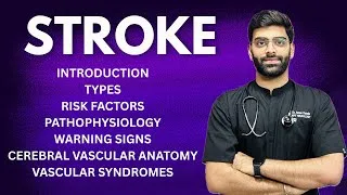 Thumbnail: STROKE | CEREBROVASCULAR ACCIDENT | HANDWRITTEN NOTES | EXPLANATION IN HINDI 🧠